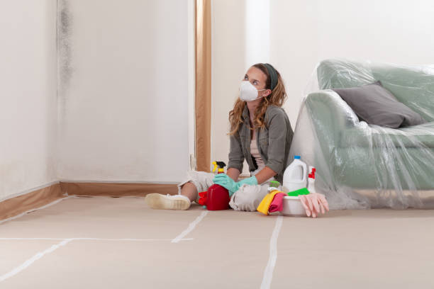 Reliable Black Mold Remediation contractor in Riverview, MI by Car Mold Remediation